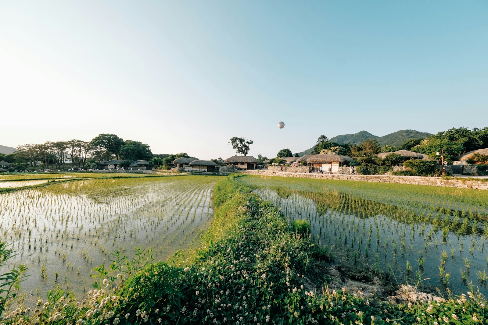한국 농촌 논밭 풍경